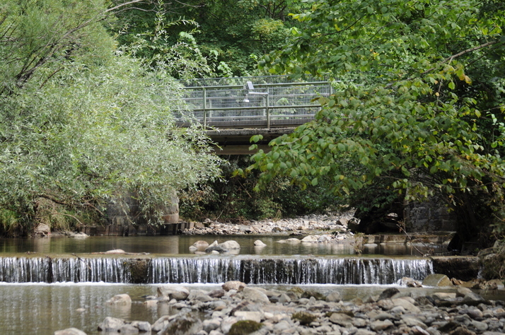 Non‑contact water level sensor capturing low and high‑flow conditions for accurate flood monitoring and alerts
