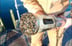 Waterquality-Multiparameter-sonde-Hydrpolab-DS5-Mississippi-used-sensor-670x435