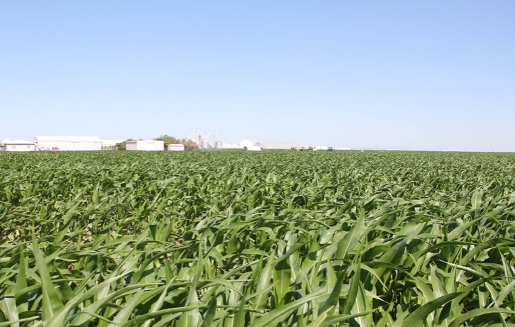 Aquifer Monitoring Around Northern Texas Panhandle