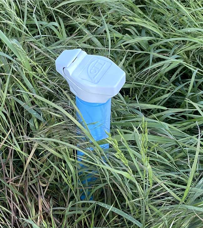 Groundwater Monitoring Underpins Management of the Great Fen