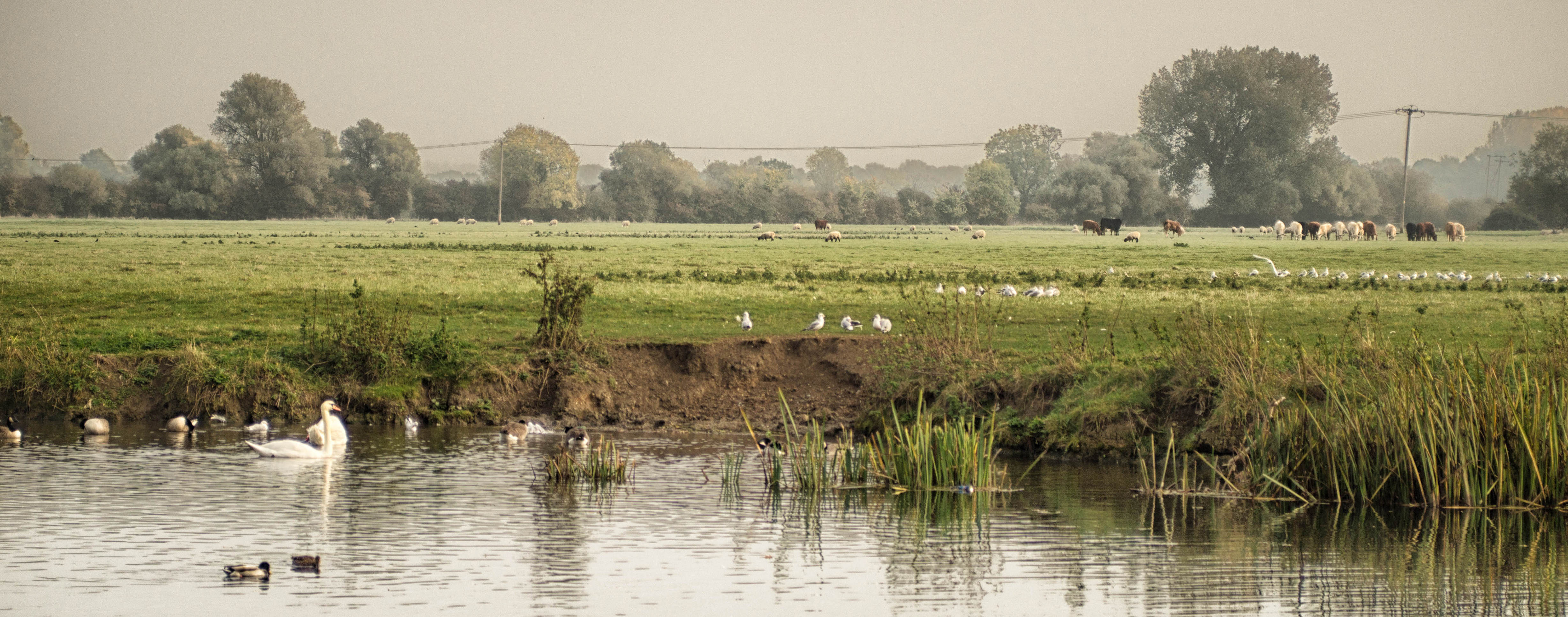 Water Monitoring & Research in the Great Fen
