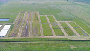 Great Fen