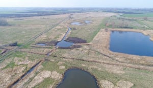 Great Fen, Peat