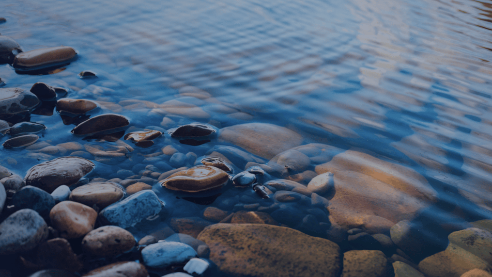 <span id=hs_cos_wrapper_name class=hs_cos_wrapper hs_cos_wrapper_meta_field hs_cos_wrapper_type_text style= data-hs-cos-general-type=meta_field data-hs-cos-type=text >In-Situ has now officially joined Ott HydroMet</span>