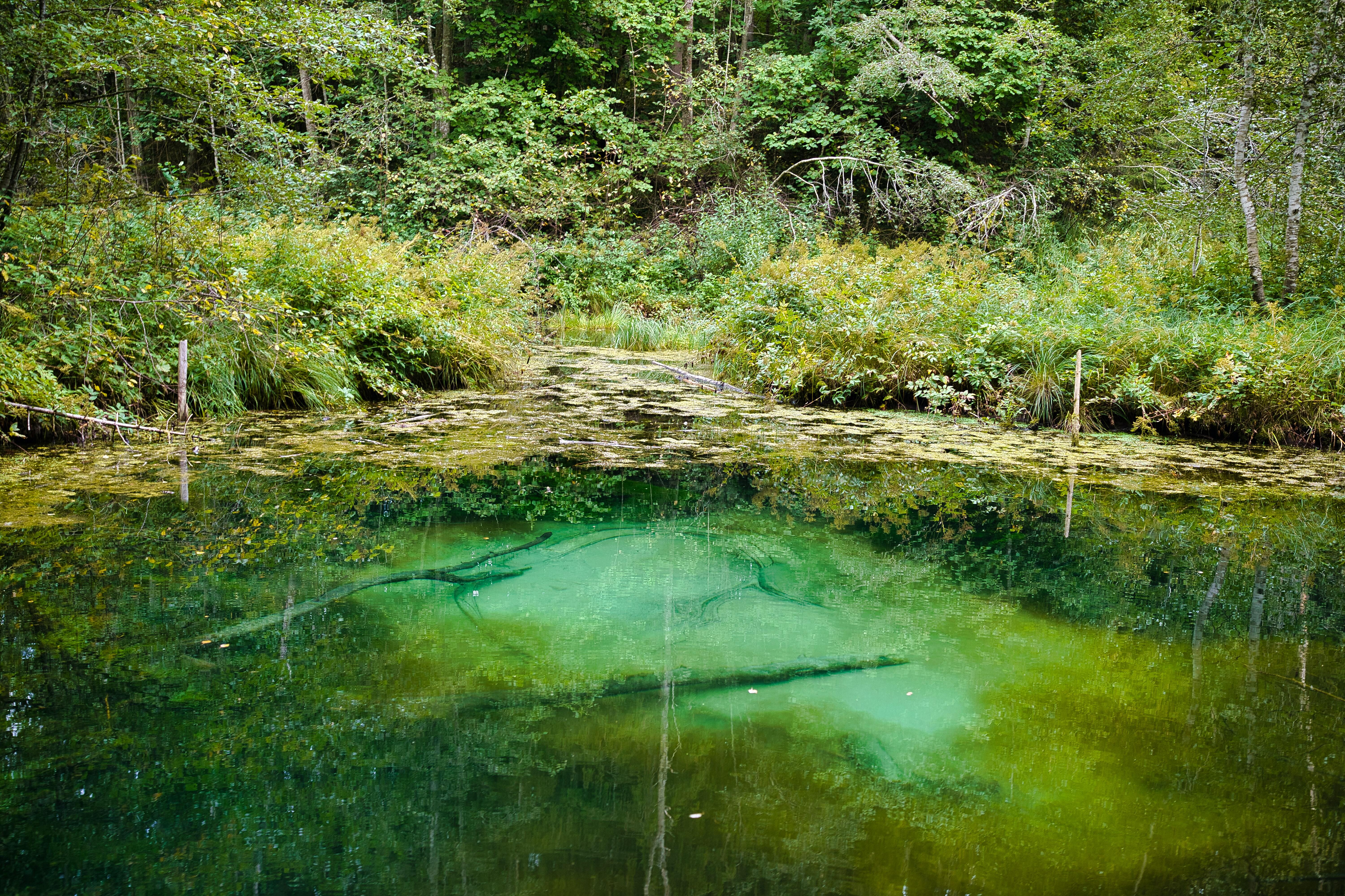 Conductivity: A Fundamental Water Quality Parameter